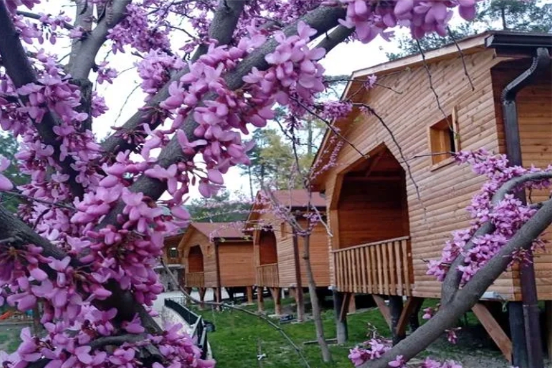 FİRMAMIZDAN KARELER