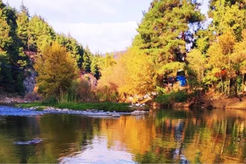 FİRMAMIZDAN KARELER